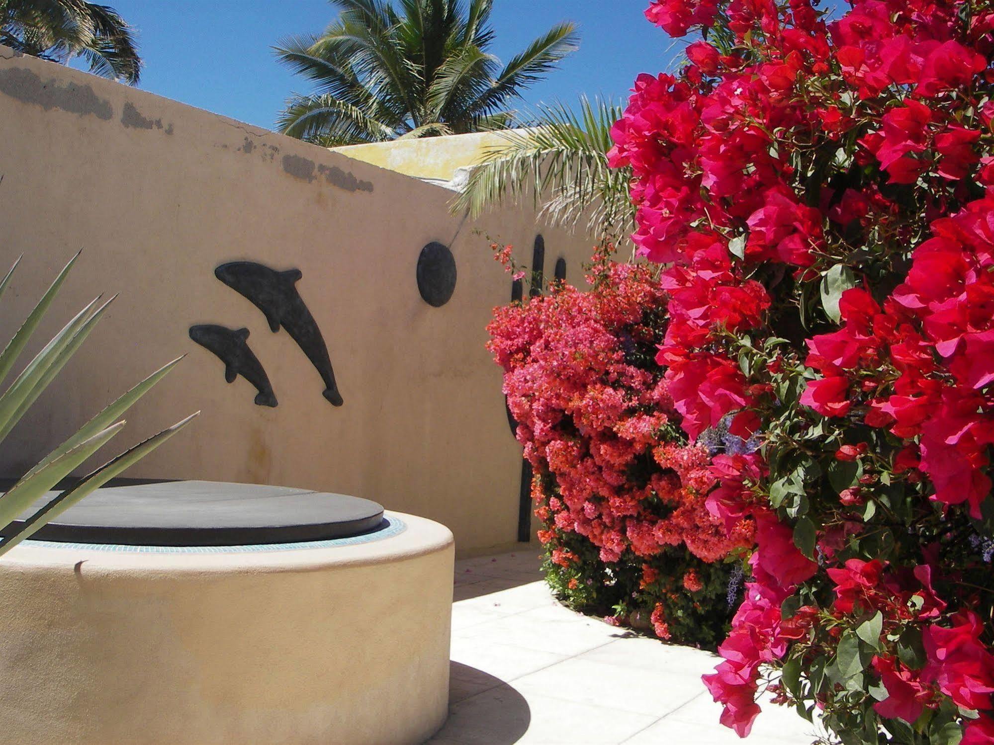 Casa Kootenay Waterfront Bnb La Paz Luaran gambar